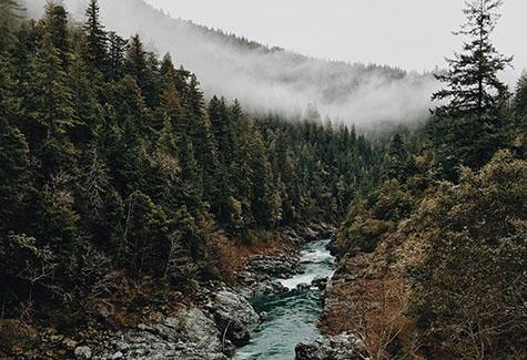 Planer Mill California