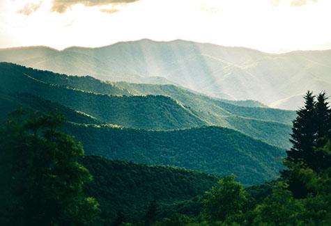 Planer Mill North Carolina