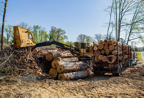 Planer Mill Wilkesboro NC