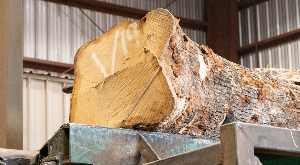 The Effects of Planing on the Strength &amp;amp; Stability of Hardwood Products