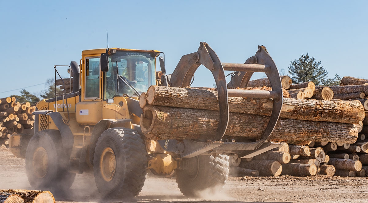 Why Appalachian Hardwood Lumber Is Valued For Millwork
