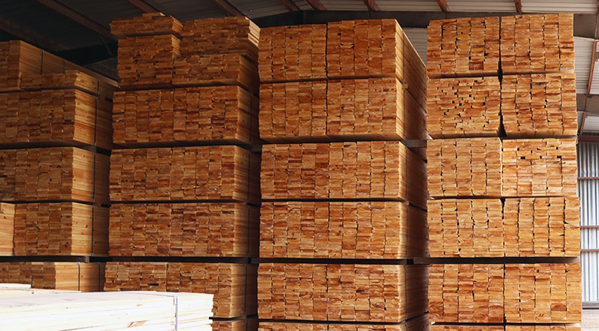 From Timber Harvest to Finished Board: The Planer Mill&rsquo;s Role in the High-Quality Lumber Process